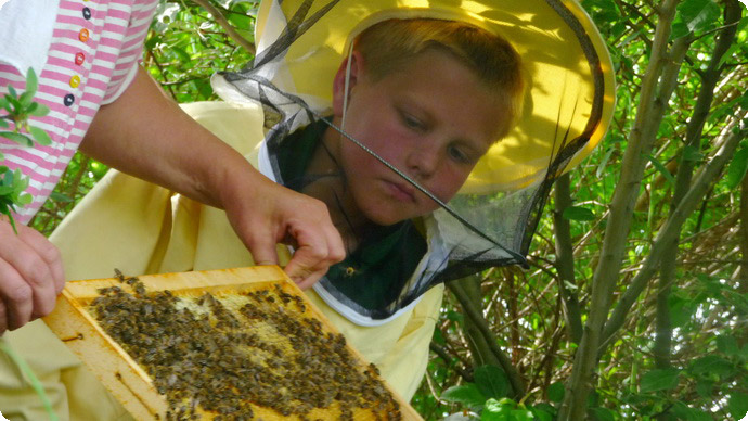 Honig wird bei uns auch aus eigenen Bienenbeständen gewonnen. <em>Foto: Archiv Freie Waldorfschule Erfurt</em>
